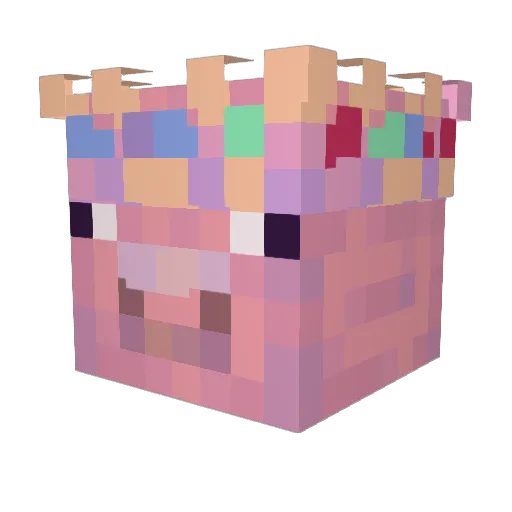XtremeDarklight Minecraft avatar head, 3D render