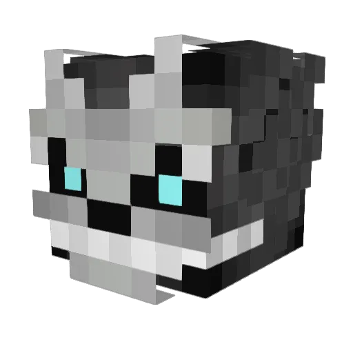 Xtremecoding Minecraft avatar head, 3D render