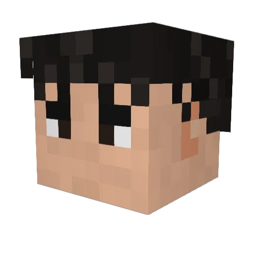 Xtrike44 Minecraft avatar head, 3D render