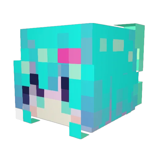 Xtrnlecho Minecraft avatar head, 3D render