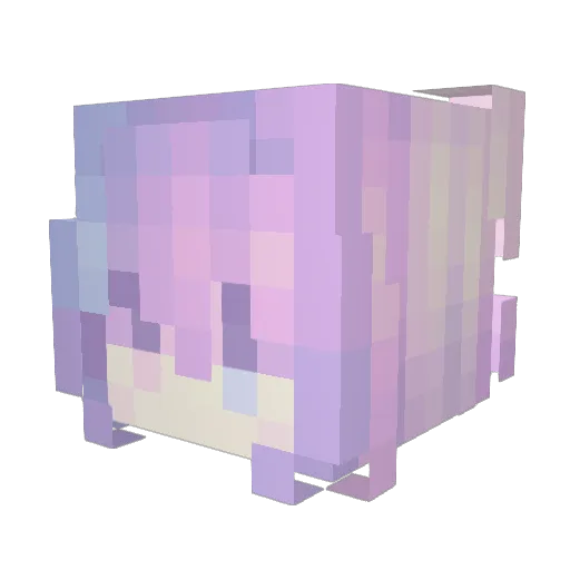 Xuan1343 Minecraft avatar head, 3D render