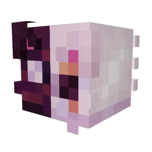 Xulimoy Minecraft avatar head, 3D render
