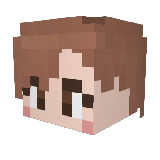 XunLi_115 Minecraft avatar head, 3D render