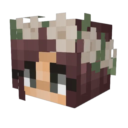 Xupcke Minecraft avatar head, 3D render