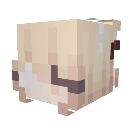 Xuris08 Minecraft avatar head, 3D render