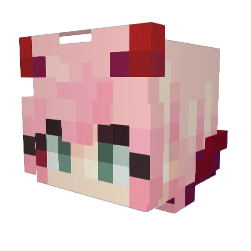 Xurro777 Minecraft avatar head, 3D render