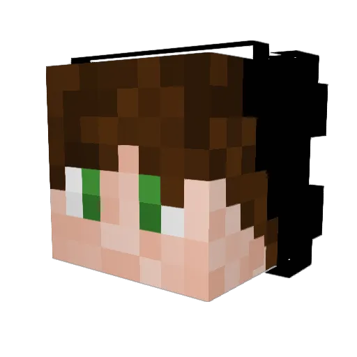 Xusalmon Minecraft avatar head, 3D render