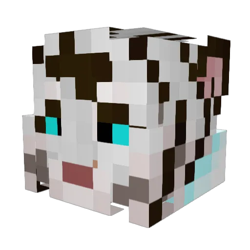 XvEternalvX Minecraft avatar head, 3D render