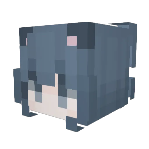 Xv_killy Minecraft avatar head, 3D render