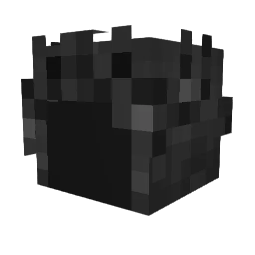 XvandallX Minecraft avatar head, 3D render