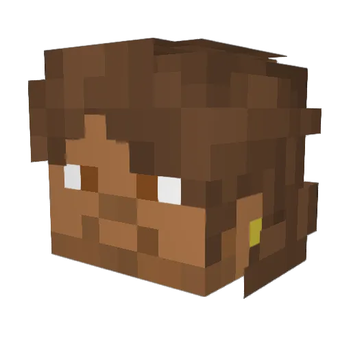 Xvdparrot Minecraft avatar head, 3D render