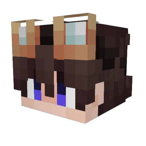 XwDw Minecraft avatar head, 3D render