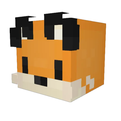 Xwarior Minecraft avatar head, 3D render