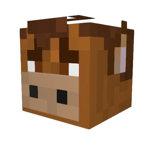 XwarriorTA123 Minecraft avatar head, 3D render
