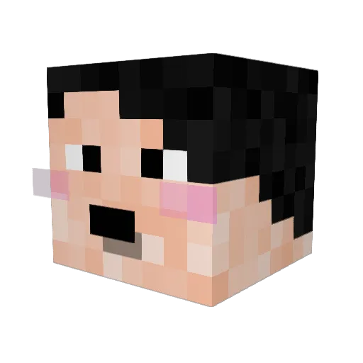 Xweba Minecraft avatar head, 3D render