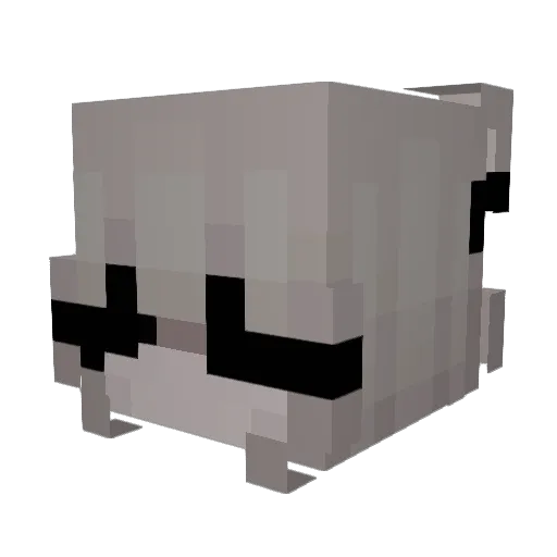 Xwikusiaxx Minecraft avatar head, 3D render
