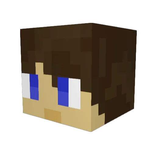 Xwing2198 Minecraft avatar head, 3D render