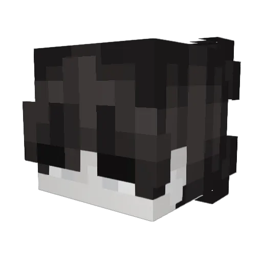 Xwoks Minecraft avatar head, 3D render