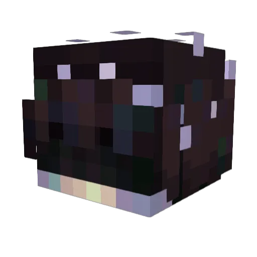 Xx4ndr2sxX Minecraft avatar head, 3D render