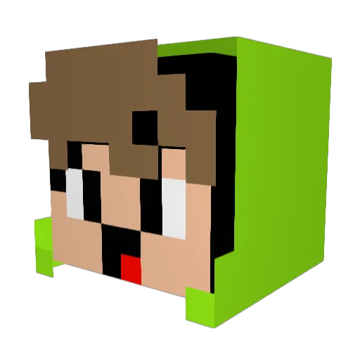 XxADIDYANxX Minecraft avatar head, 3D render