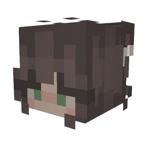 XxANNATHEWEIRDxX Minecraft avatar head, 3D render