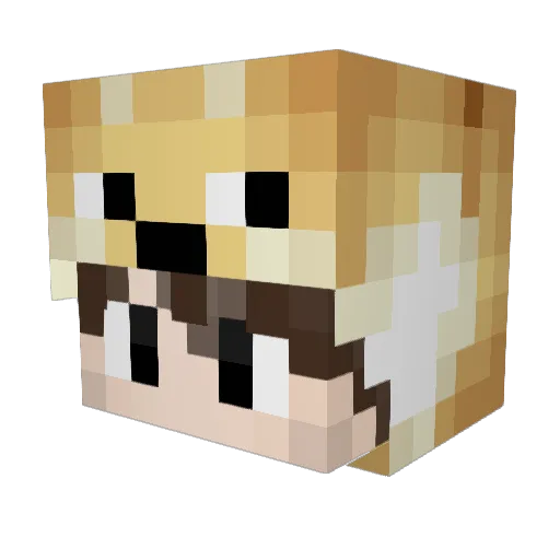 XxActiveKillaxX Minecraft avatar head, 3D render