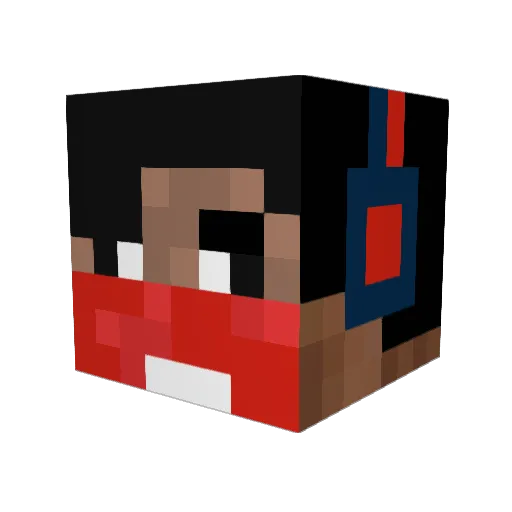 XxAimlessPandaxX Minecraft avatar head, 3D render