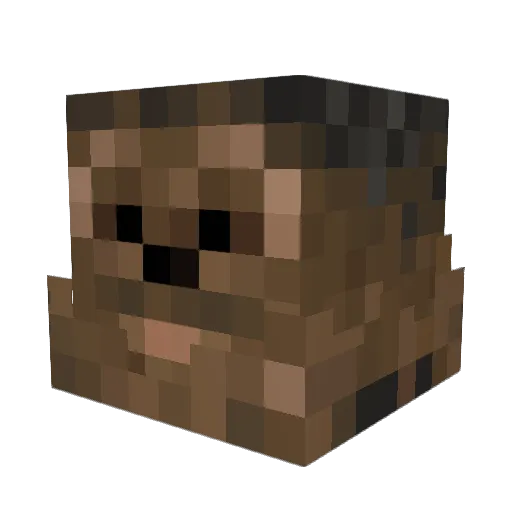 XxAliG7xX Minecraft avatar head, 3D render