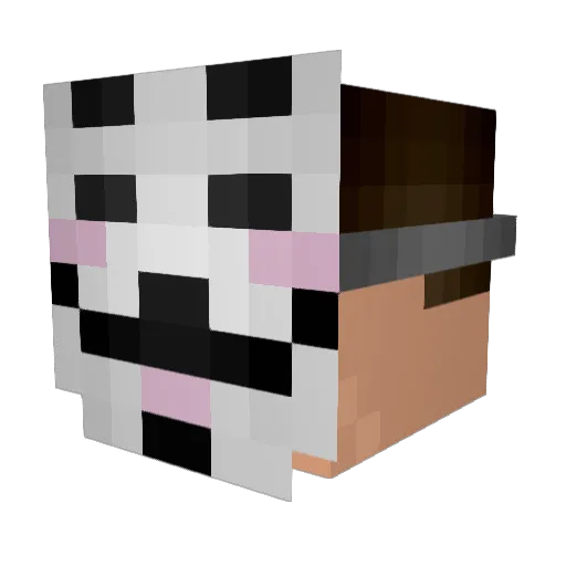 XxAnonymousxX Minecraft avatar head, 3D render