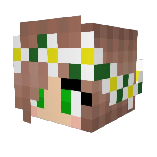 XxB00MxX Minecraft avatar head, 3D render