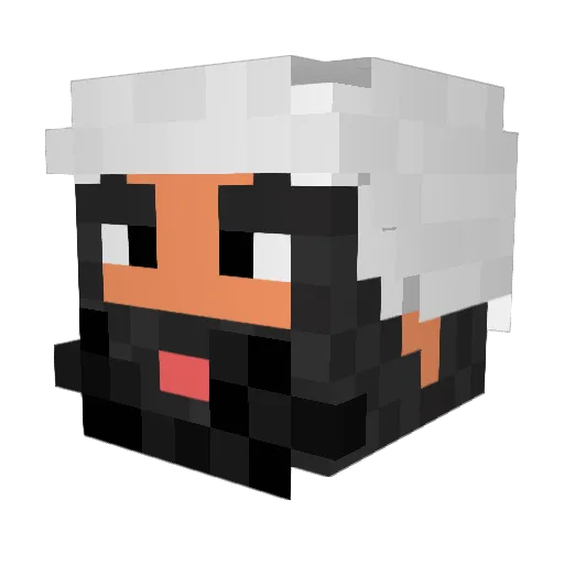XxB0NESxX Minecraft avatar head, 3D render