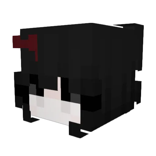 XxBaconForLunchx Minecraft avatar head, 3D render