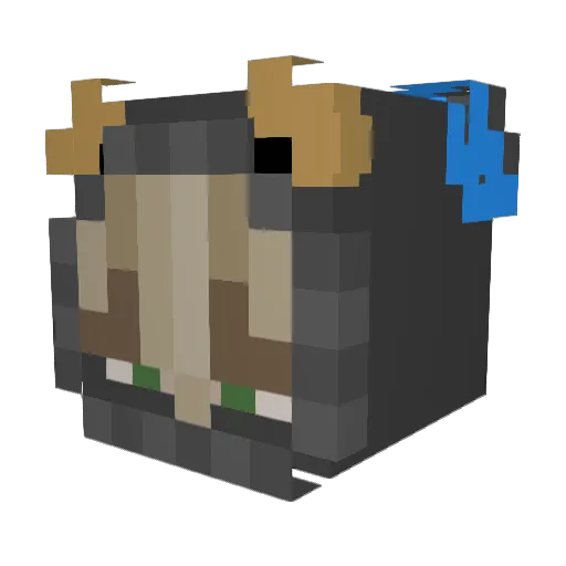 XxBaerxX Minecraft avatar head, 3D render