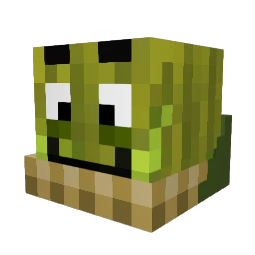 XxBaxXx Minecraft avatar head, 3D render