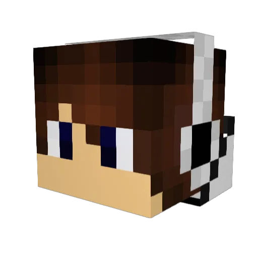 XxBeast_MinerxX Minecraft avatar head, 3D render