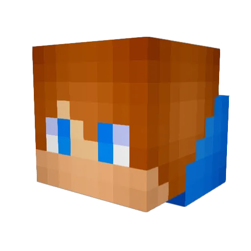 XxBlueBerryBoyxX Minecraft avatar head, 3D render