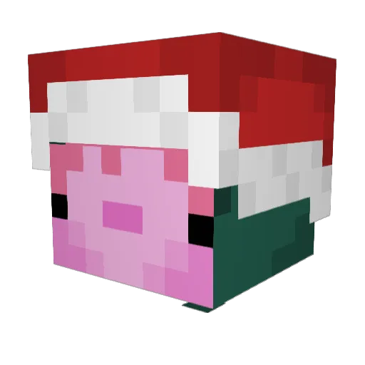 XxBradyPlayzXx Minecraft avatar head, 3D render