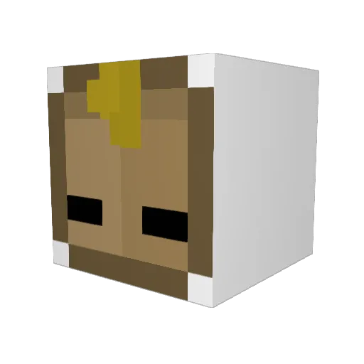 XxBroken_SigmaxX Minecraft avatar head, 3D render