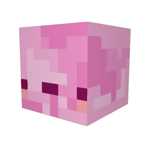 XxBubbleGum0xX Minecraft avatar head, 3D render
