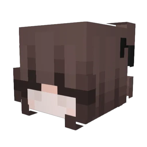 XxCrazy_KillerxX Minecraft avatar head, 3D render
