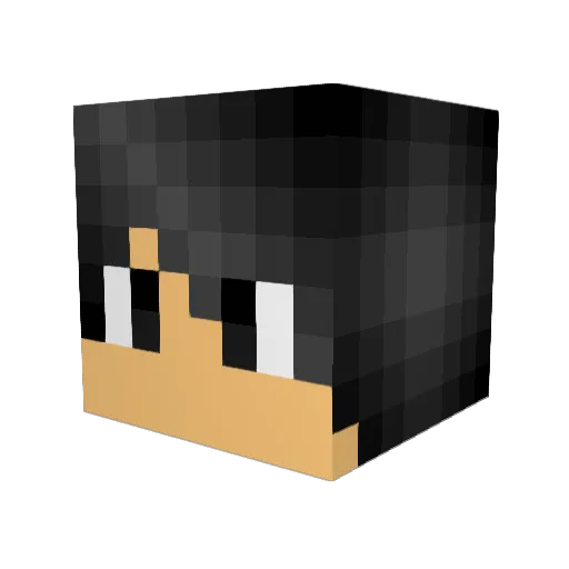 XxDarkHunterxX_ Minecraft avatar head, 3D render