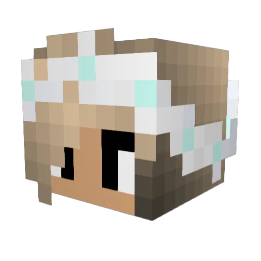 XxDatBoyxX Minecraft avatar head, 3D render