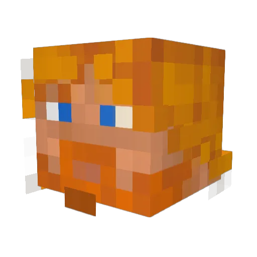 XxDemonJinxX Minecraft avatar head, 3D render