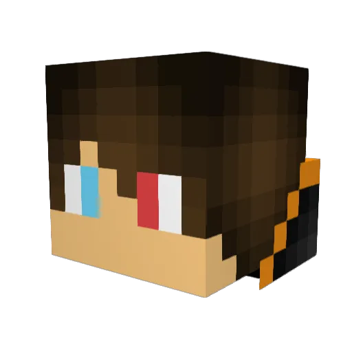 XxDerpy_DudexX Minecraft avatar head, 3D render