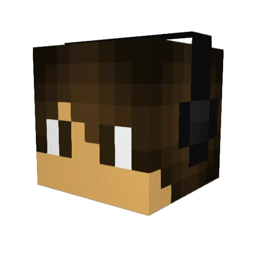 XxDireAidsxX Minecraft avatar head, 3D render