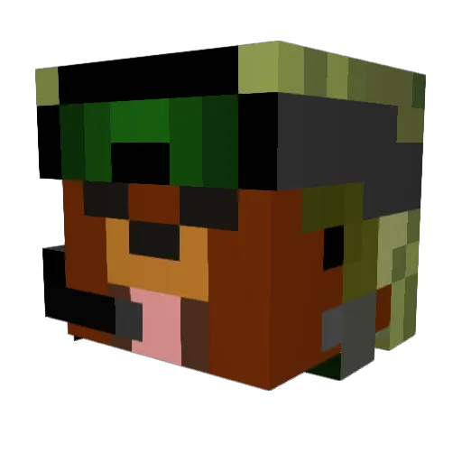 XxDragonxX_ Minecraft avatar head, 3D render