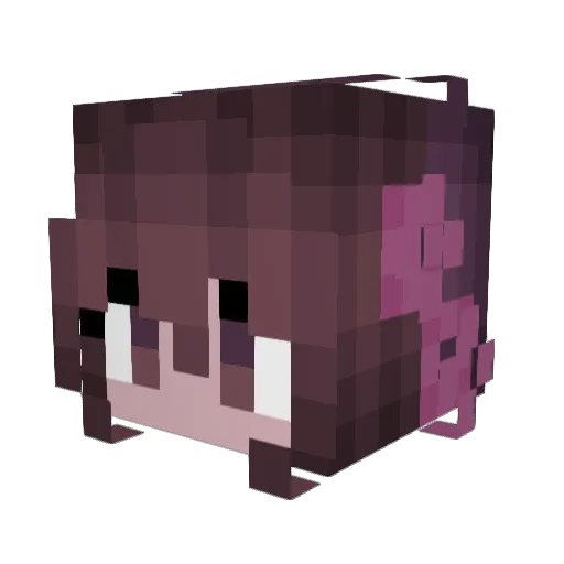 XxDreenPLxX Minecraft avatar head, 3D render