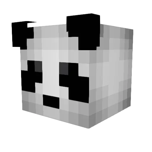 XxEllesmerxX Minecraft avatar head, 3D render