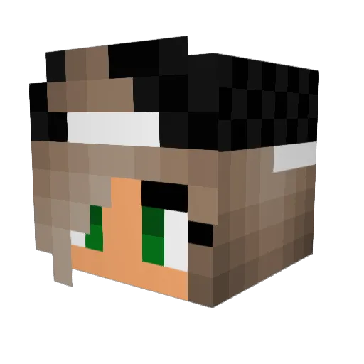 XxEnchatedGirlxX Minecraft avatar head, 3D render