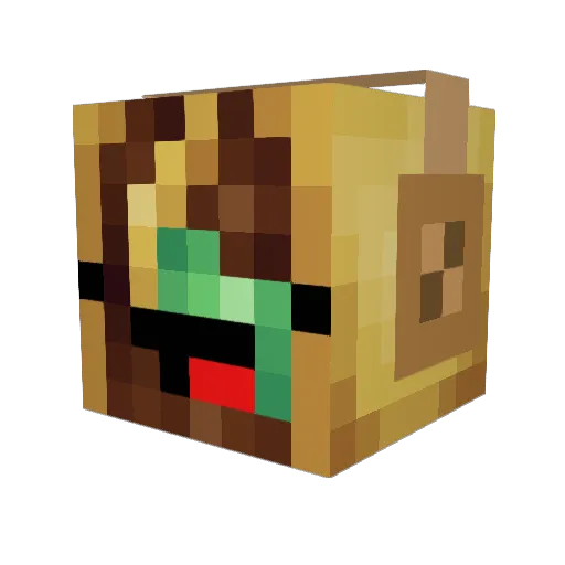 XxEncryptionXx Minecraft avatar head, 3D render